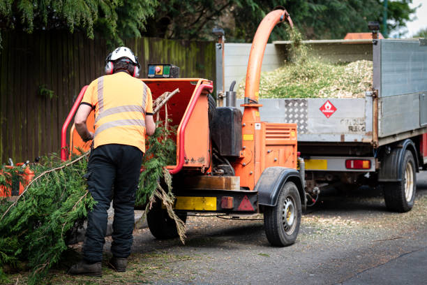 Leaf Removal in Tipton, MO